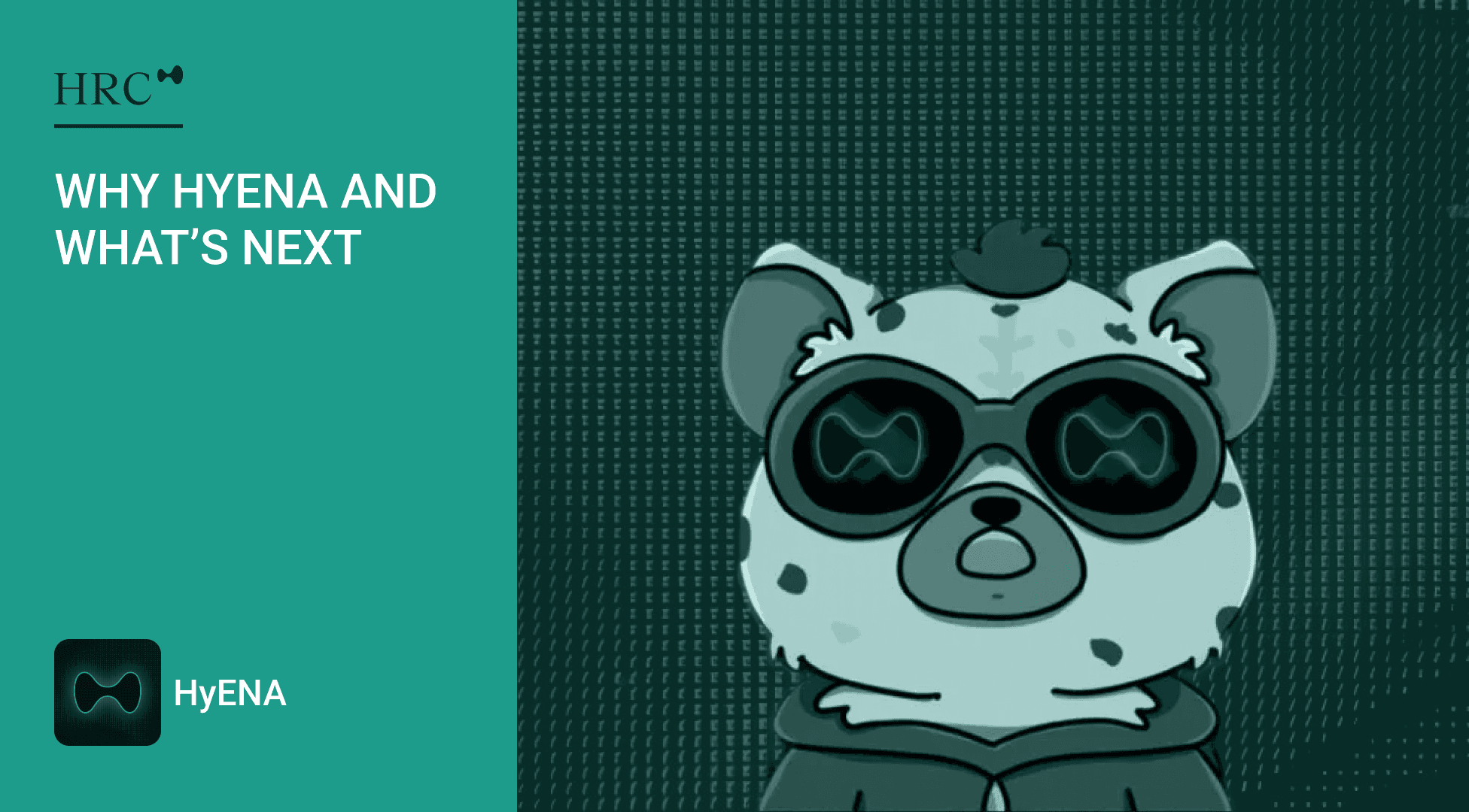 Why HyENA and What’s Next